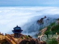 青岛推多条中医药康养旅游线路 邀您开启秋日疗愈之旅