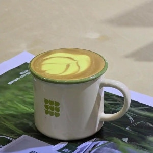 “川式养生”席卷成都农博会，养生新产品收获年轻用户