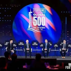 梯瓦医药大中华区总经理黄迪仁出席2025年《财富》世界500强峰会