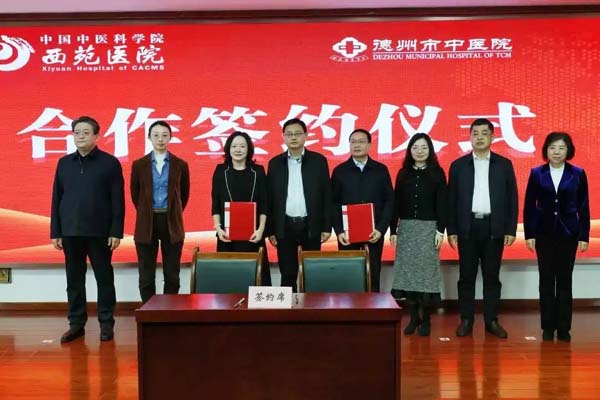 西苑医院与德州市中医院共建专家工作站，让国家级中医药服务“到家”