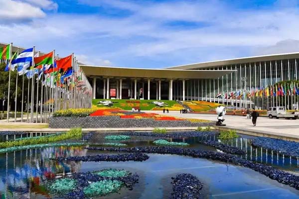 进博会“大健康”赛道出圈，精准营养品受追捧