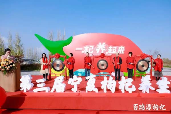 宁夏 枸杞养生节膏方打造“沉浸式滋补体验”