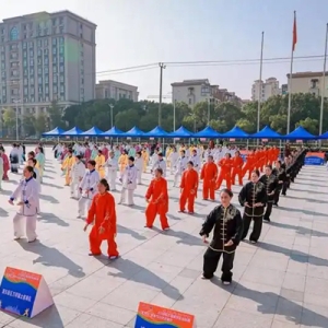 弘扬中华传统健身文化 “惠南杯”健身气功交流展示在沪举行