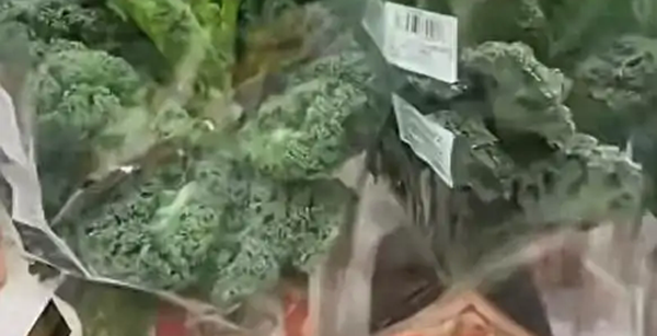 从观赏植物到“蔬菜顶流”，羽衣甘蓝真能养生吗？
