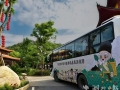 蕲春：中医药康养融合 点燃旅游新热潮