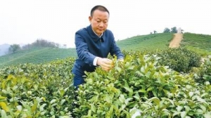90多万粉丝的“网红”全国人大代表：真人出镜打标签，带着乡亲一起富