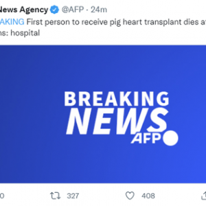 外媒：全球首个接受猪心脏移植病患死亡