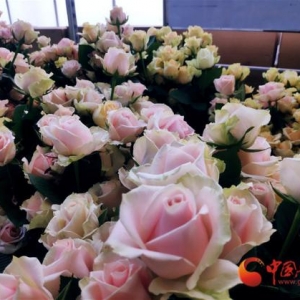 【奋进新征程 建功新时代——喜迎省第十四次党代会】兰州新区：十年蝶变 新城崛起
