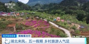 春季限定”浪漫！新疆郁金香花海迎客来 近郊游持续升温