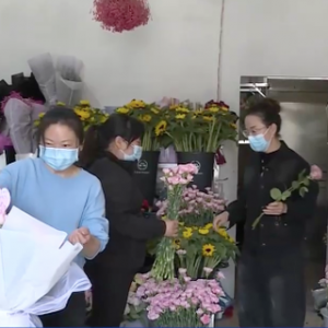 价格翻倍！母亲节临近，云南鲜切花销售旺→