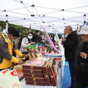 “秦岭八村”开园 “万企兴万村”启动西安高新区全力打造乡村振兴“高新样板”