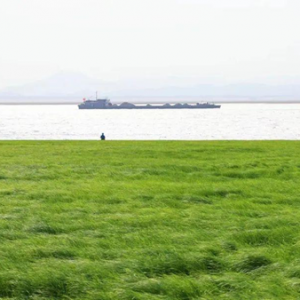 鄱阳湖河床变草原当地人开车飞驰，这是不是正在经历沧海桑田？