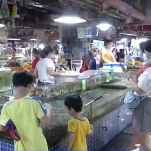 皮皮虾一斤便宜50元！广西南宁大批海鲜上市，最抢手的是……