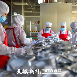 防疫不放松 生产不停工｜新蒲新区：防疫生产“两不误” 企业跑出“加速度”