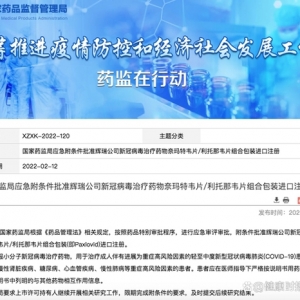 进口新冠口服药实现国产化生产，涉及两家国产企业