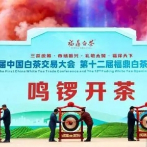 两岸茶商齐聚“中国白茶之乡” 共享白茶发展机遇  播报文章