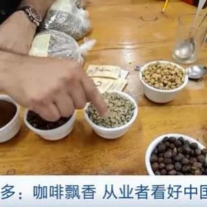 咖啡飘香！萨尔瓦多咖啡对华出口稳步增长，从业者看好中国市场