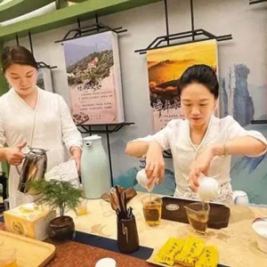 一缕茶香意韵悠长