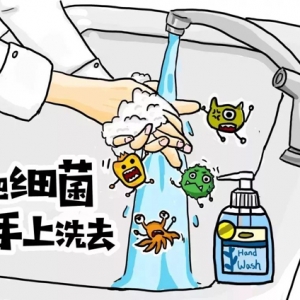 世界手卫生日：“掌”中有乾坤，关于大健康