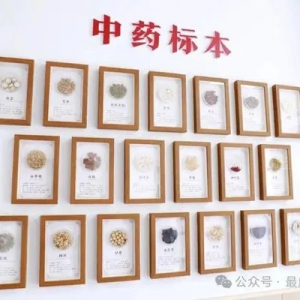 镇卫生院推出免费养生茶，患者家属齐点赞