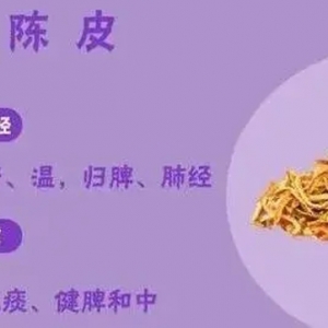 脾胃受损或导致多种疾病，这些健脾养胃的方法快收藏！