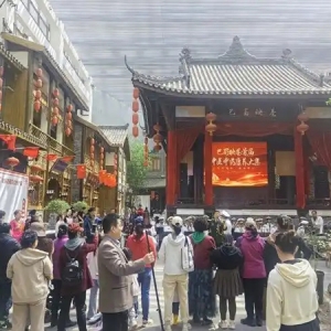 巴蜀映巷首届中医中药康养大集热闹启幕