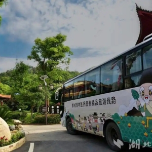 蕲春：中医药康养融合 点燃旅游新热潮
