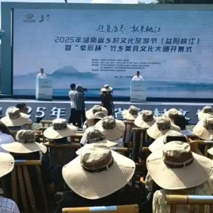 2025湖南省乡村文化旅游节：避暑康养 就来桃江