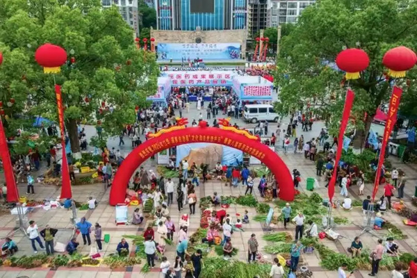 江华开启瑶医药传承发展新篇