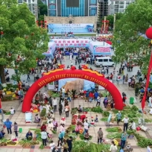 江华开启瑶医药传承发展新篇