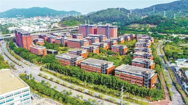 从跟跑到领跑，厦门生物医药产业创新不止步