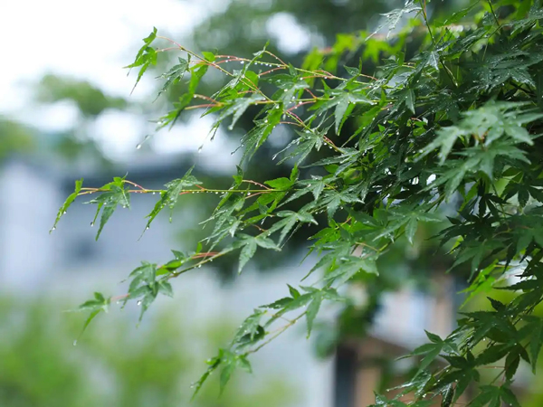 雨天不出门？胡庆余堂中医把脉+盐晶房疗愈，赴湘湖养生局的大巴已停满