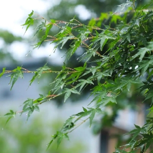 雨天不出门？胡庆余堂中医把脉+盐晶房疗愈，赴湘湖养生局的大巴已停满
