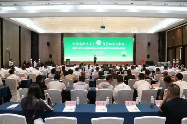 从“一朵花”到百亿级产业 看重庆秀山如何破局中药材产业现代化