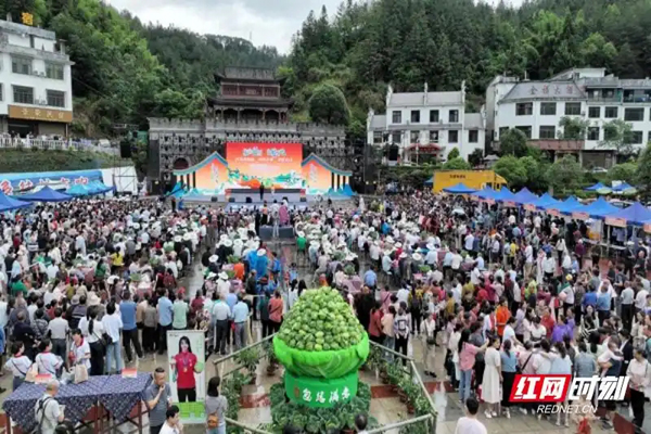 桂东县：“四字”并举 推动康养民宿产业提质升级