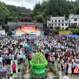 桂东县：“四字”并举 推动康养民宿产业提质升级