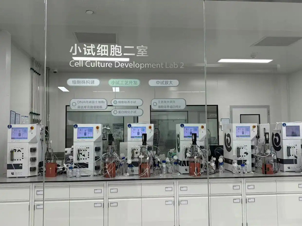 冠军制造 工赋山东｜聚焦医药前沿！齐鲁制药以新质生产力赋能企业发展